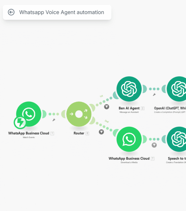 Screenshot of Dizity automation workflow, June 2025